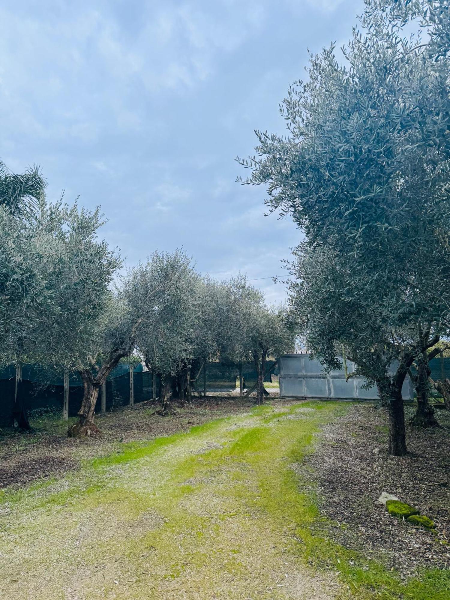 La Perla Di Dea Villa Lido Di Fondi Bagian luar foto