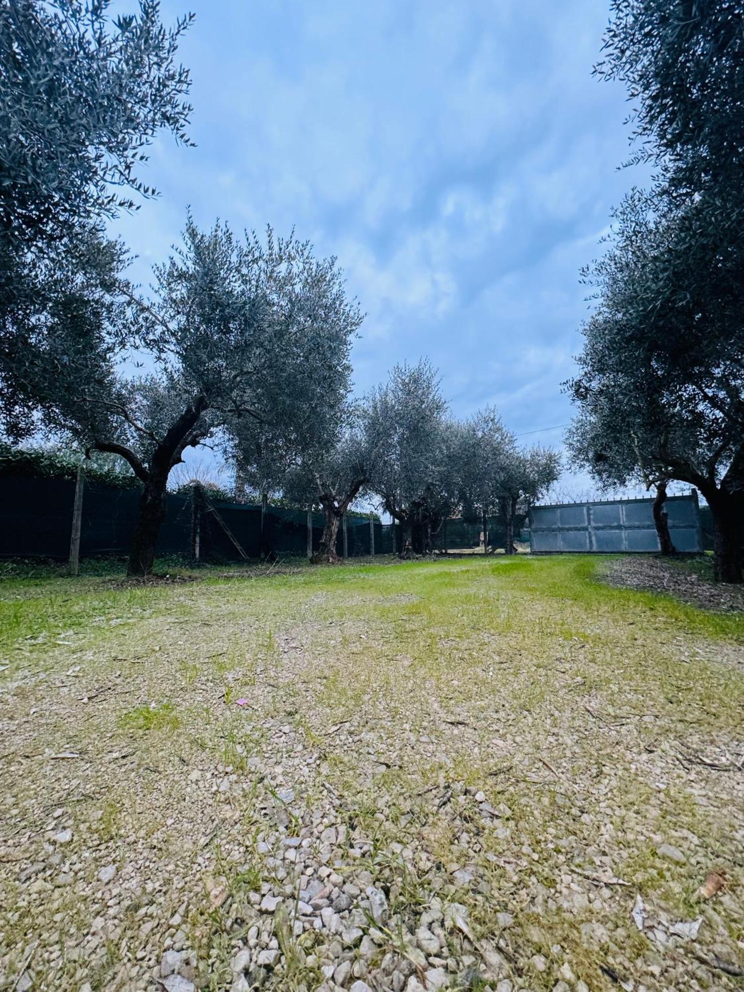 La Perla Di Dea Villa Lido Di Fondi Bagian luar foto